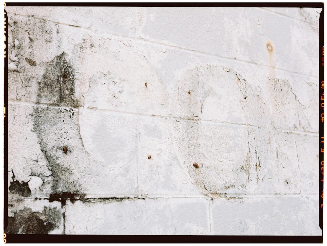 Mold Remediation service in Slidell, LA